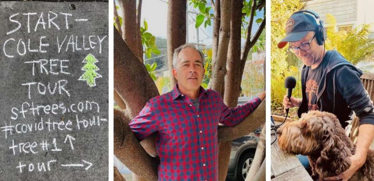 Michael Sullivan, the author of "Trees of San Francisco," co-created neighborhood tree tours during the pandemic.
