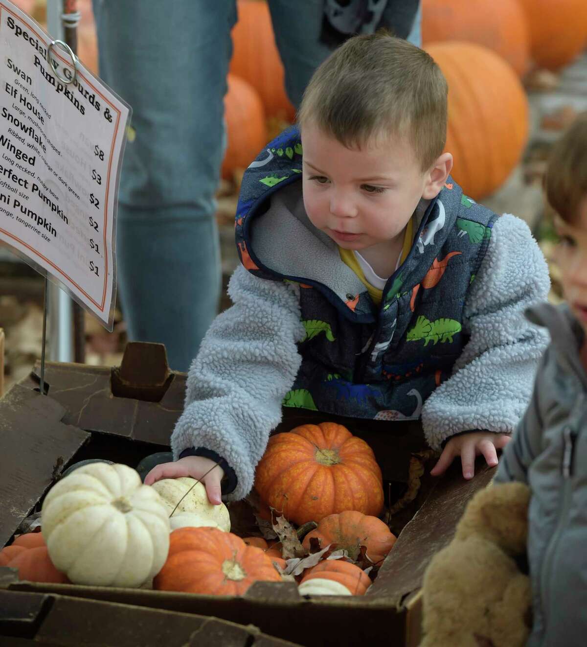 Bennett Early, age 2, looks over pumpkins in the pumpkin patch at Jesse Lee Memorial United Methodist Church. Children from Jesse Lee Day School were exploring the patch on Friday Morning. October 28, 2022, Ridgefield, Conn.