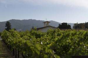 How a church’s tiny vineyard launched one of Sonoma's most prized wine regions