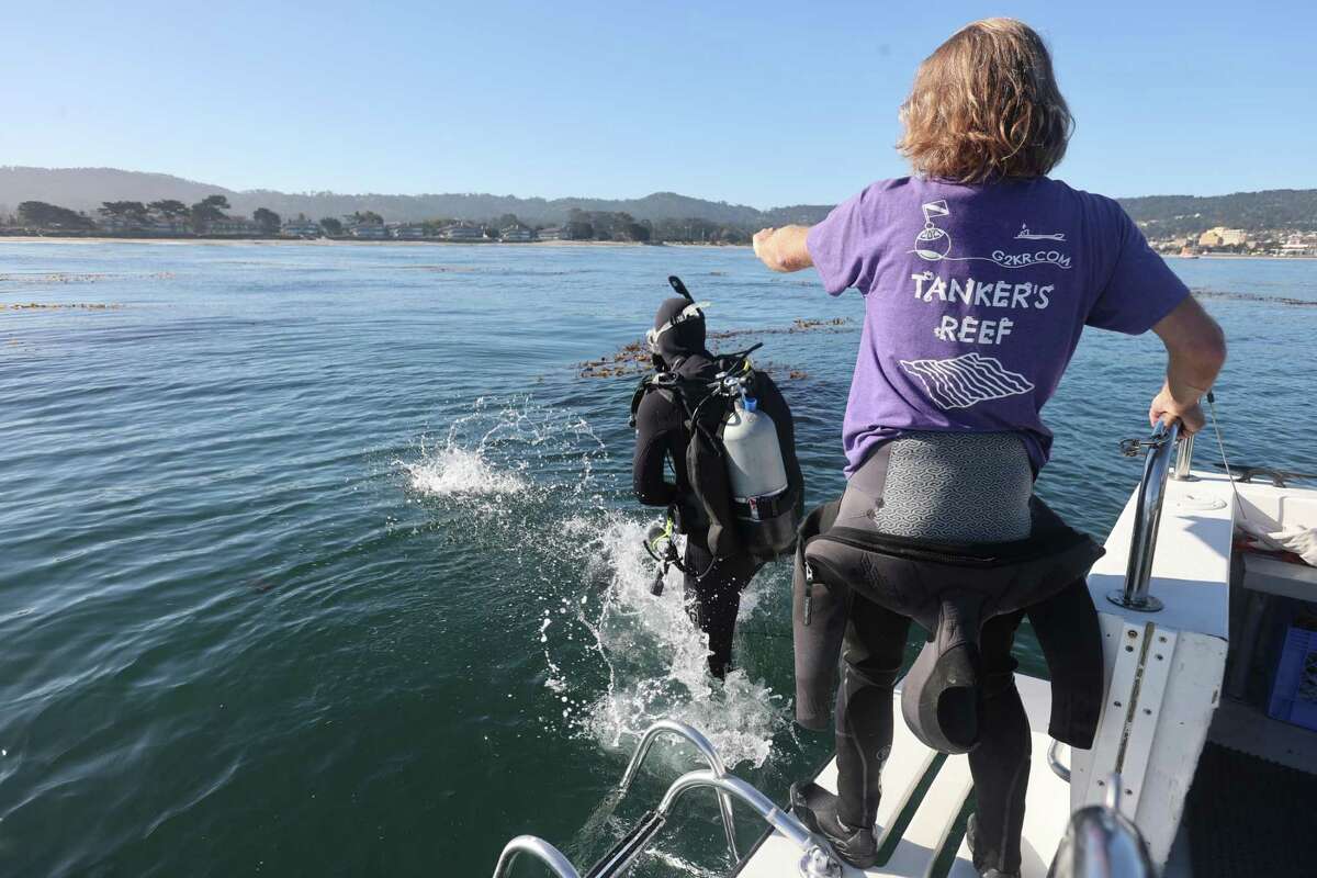 Keith Rootsaert of the Giant Giant Kelp Restoration project assists Sam Young into the water on Tanker Reef in Monterey. Young is a volunteer diver who will train to cull kelp eating urchin from the sea floor.