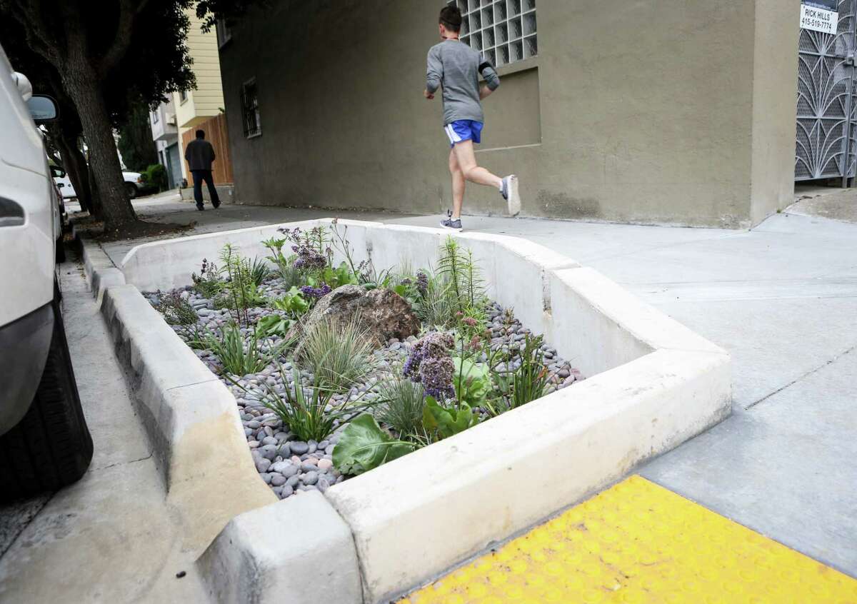 A rain garden at Holloway and Jules avenues in the Oceanview-Merced-Ingleside, one of 151 citywide, is part of the city’s flood control system.