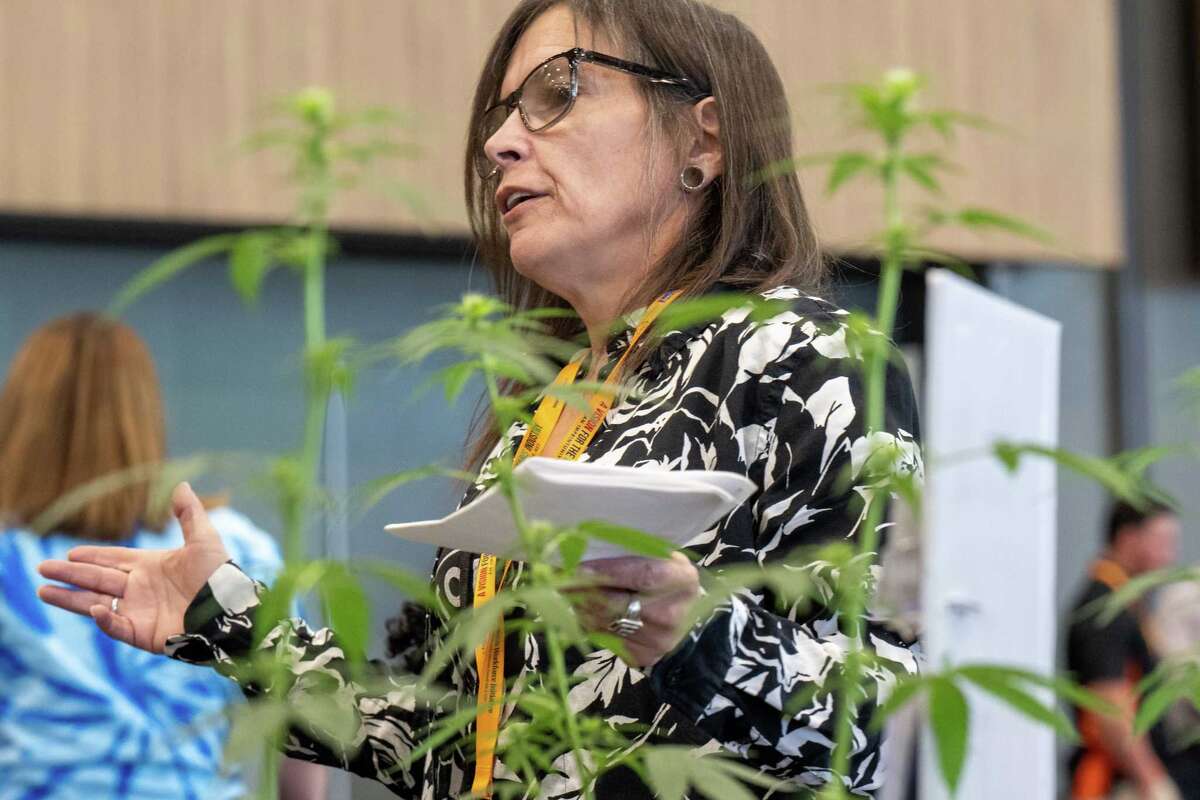 Kimberly Krepp, of the Capital District Cannabis Consortium, talks to people at the Albany Black Cannabis Industry Association convention held at the Albany Capital Center in Albany, NY, on Sunday, Oct. 30, 2022. (Jim Franco/Special to the Times Union)