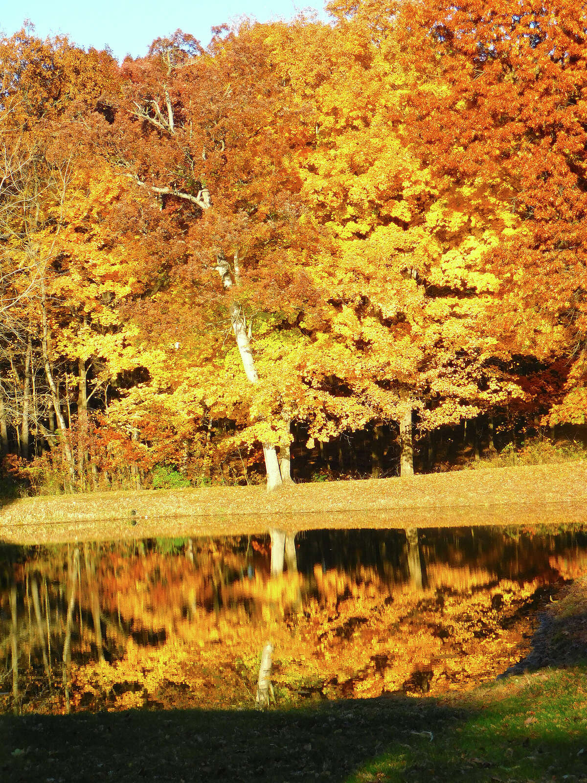 The bright colors of changing leaves are reflected in a west-central Illinois lake.