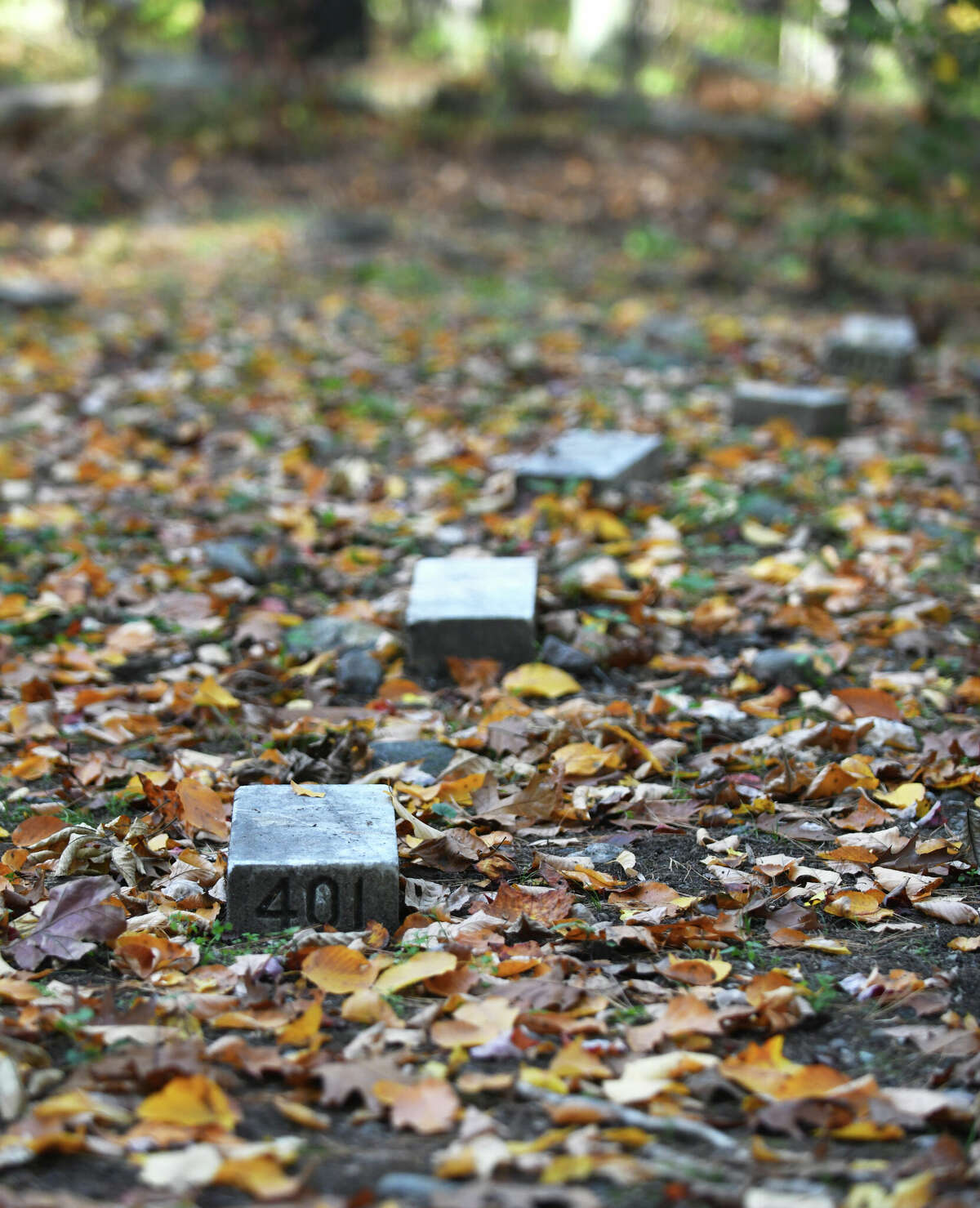 Stamford's Potter's Field legends known by Arboretum staff