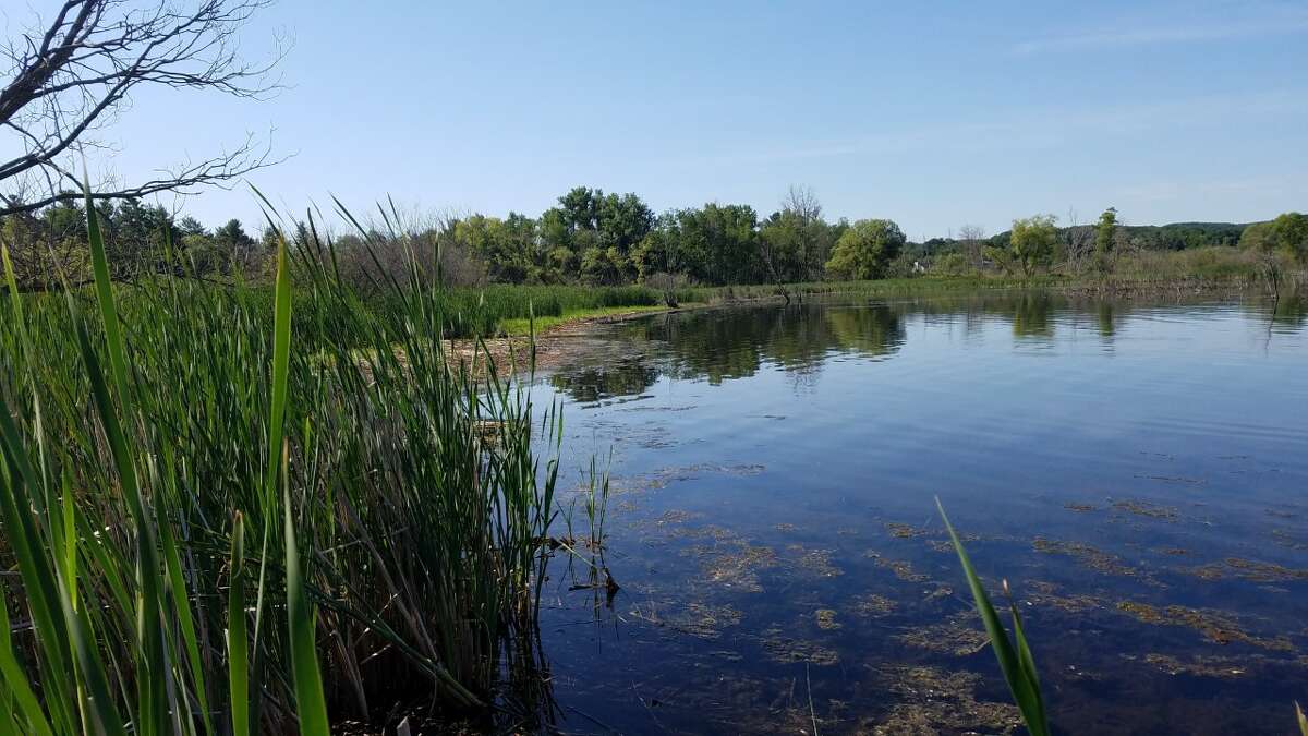 Pictured is a 1-acre parcel in Onekama preserved by a conservation easement.
