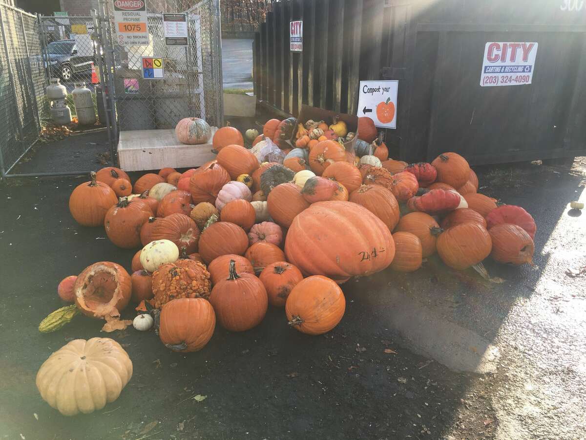 Smashing pumpkins to help the environment