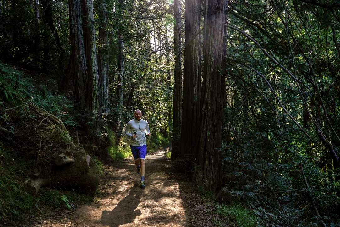Car-free hiking: 8 of the best Bay Area trails near public 