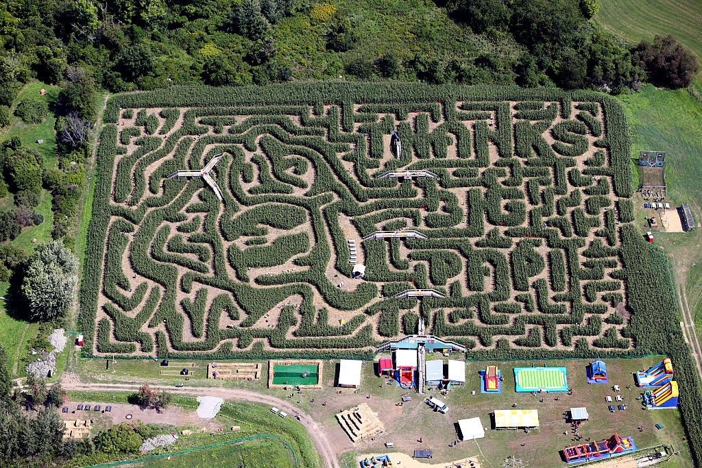 Prairie Dog Maze