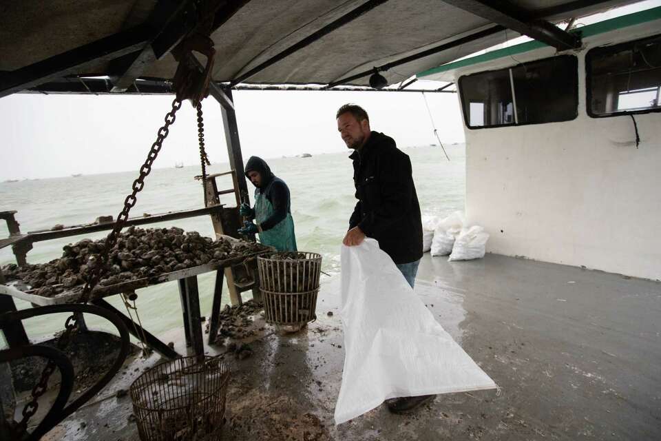 Texas recalls oysters, closes fishery in Galveston Bay