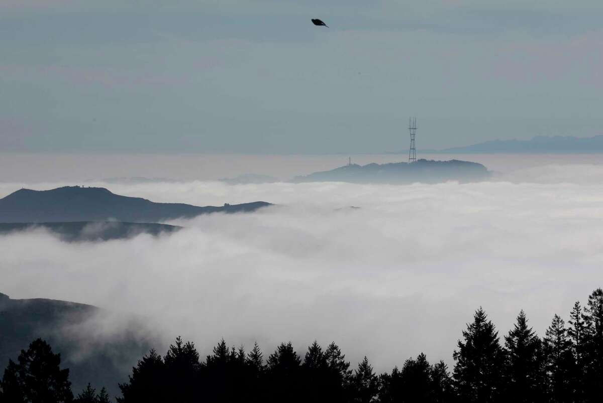 This view of Sutro Tower can be seen from Cardiac Hill, just off the Dipsea trail, on Thursday October 20, 2022.