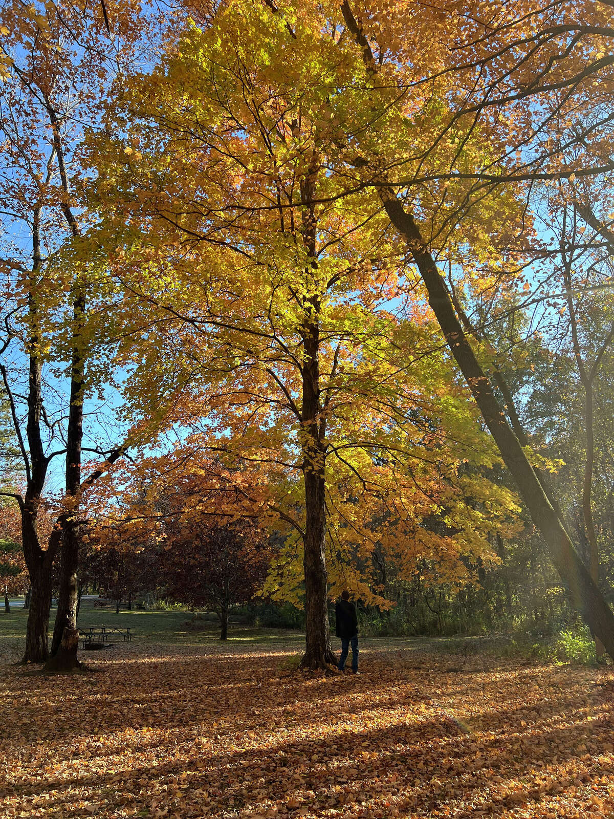 Wilsonville church offers perfect fish fry near Beaver Dam State Park
