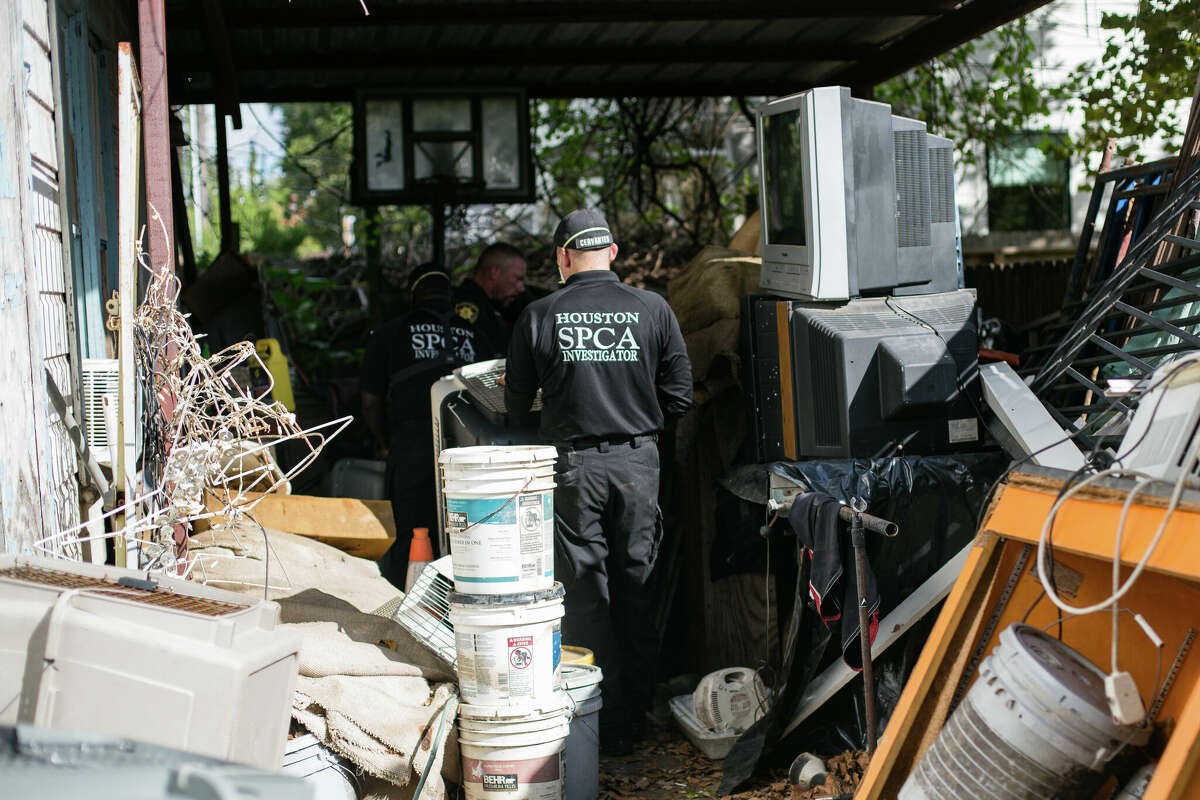 50 dogs, covered in feces, rescued from 'deplorable conditions'