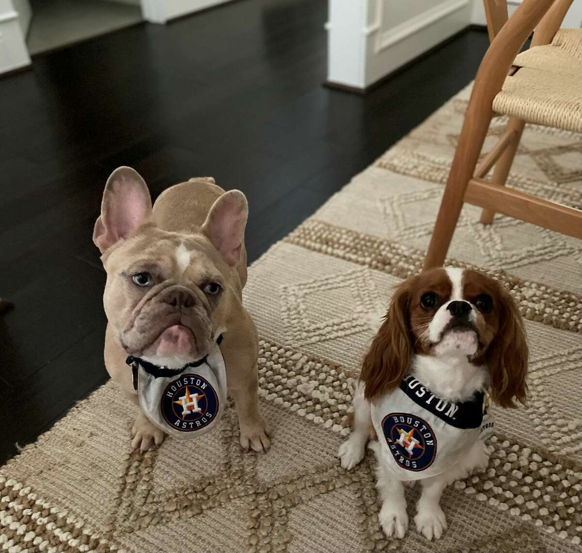 Luca and Cash Alvarez are game day ready with Astros gear.