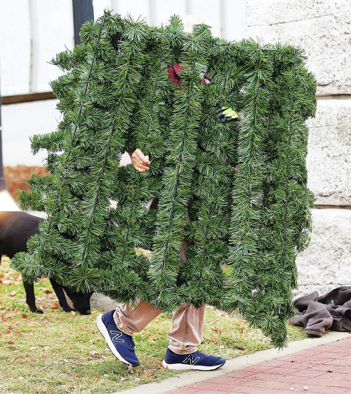 New Alton Christmas tree goes up
