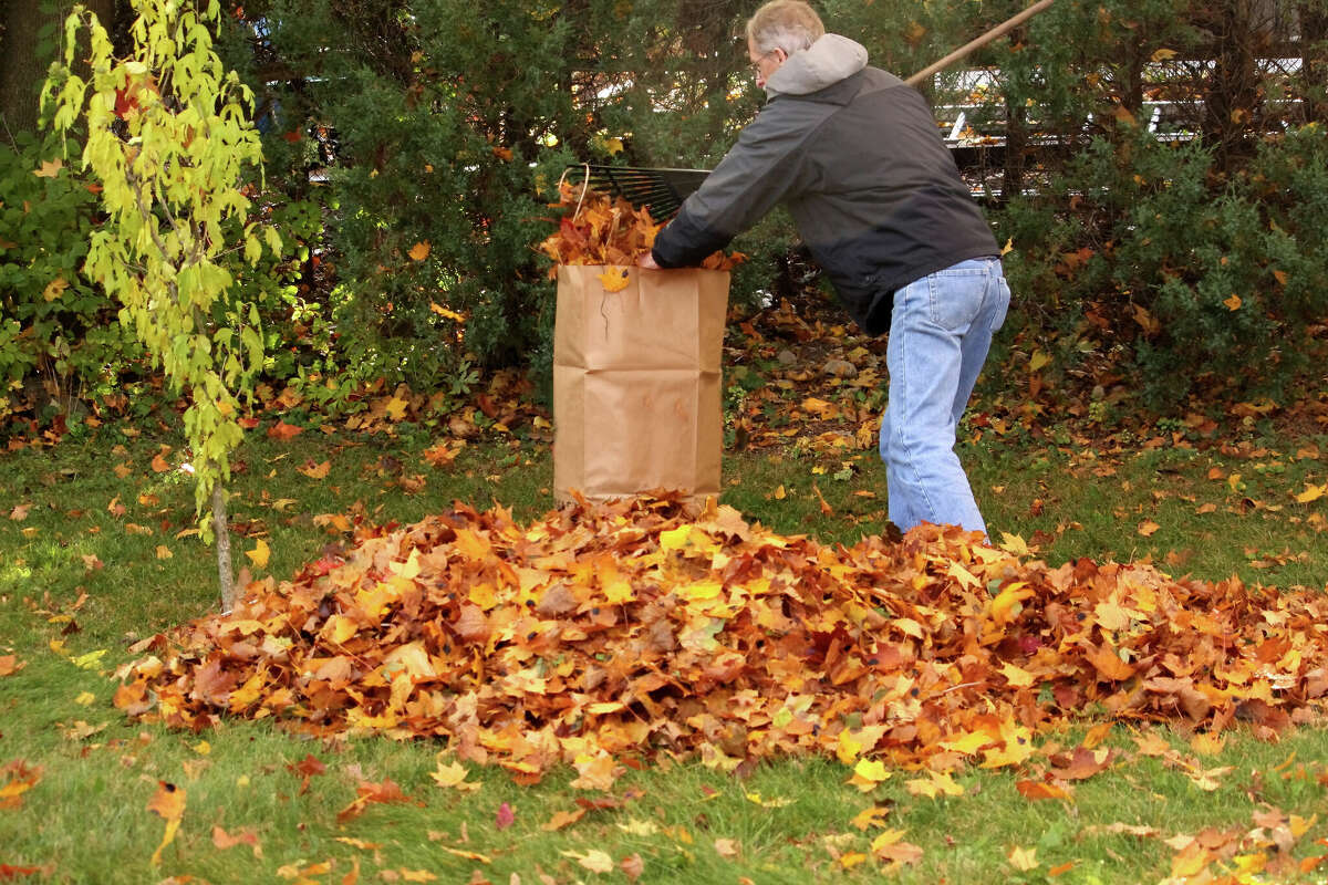 The windy forecast for the weekend may make raking leaves into piles challenging, but the village of New Berlin said crews will begin collecting leaves curbside Monday.