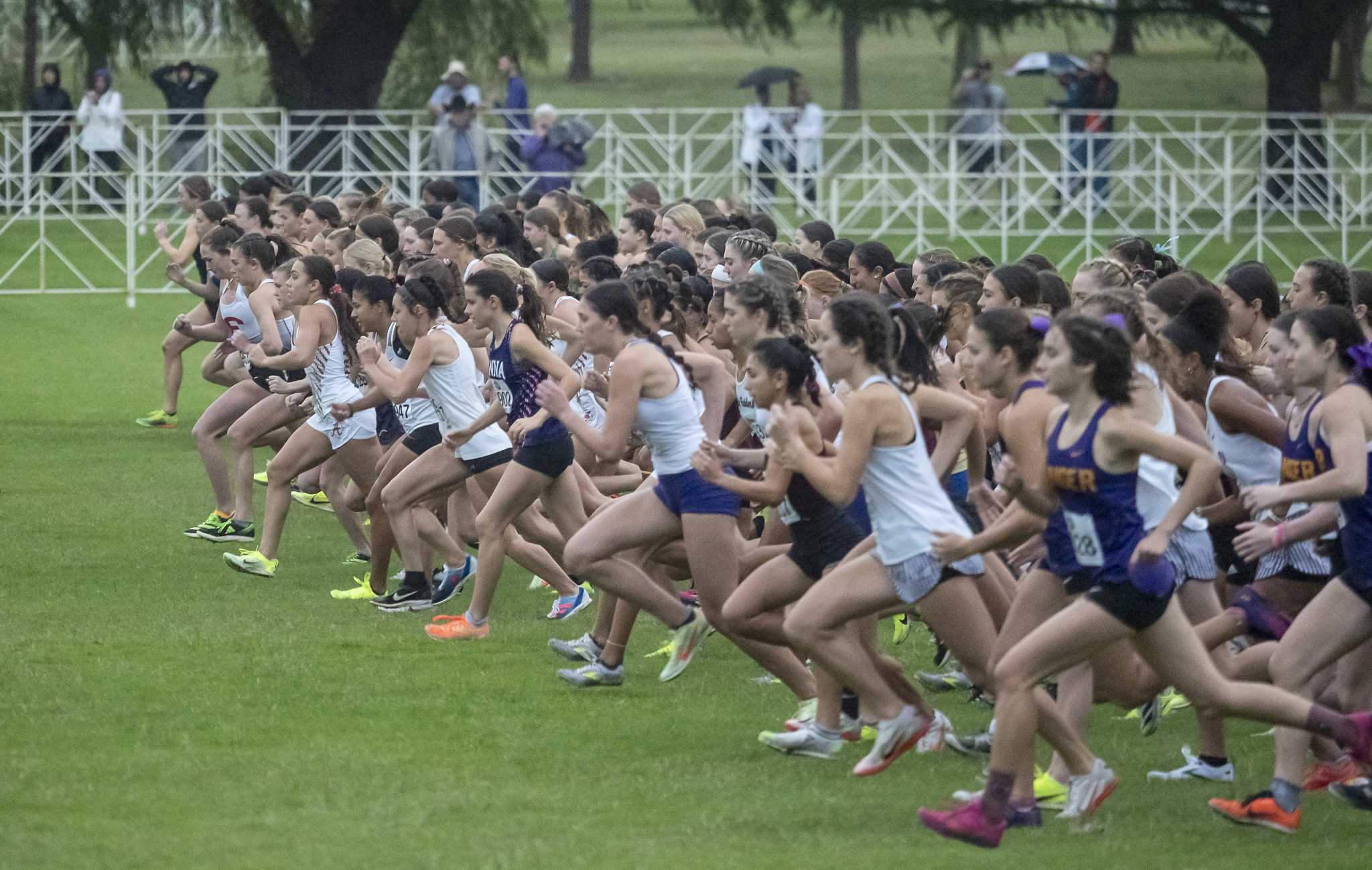 Uil State Cross Country Meet 2025 Results