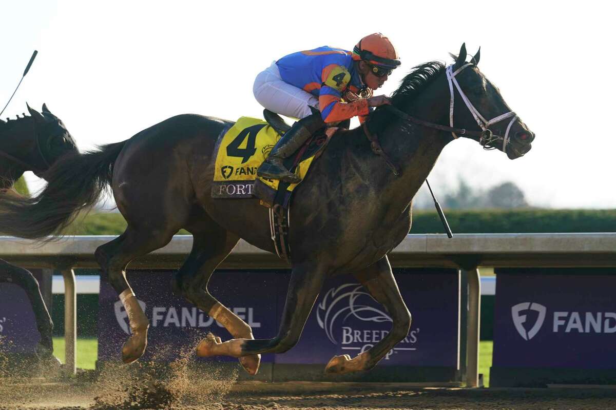 Forte lays claim as best 2yearold with Breeders' Cup Juvenile win
