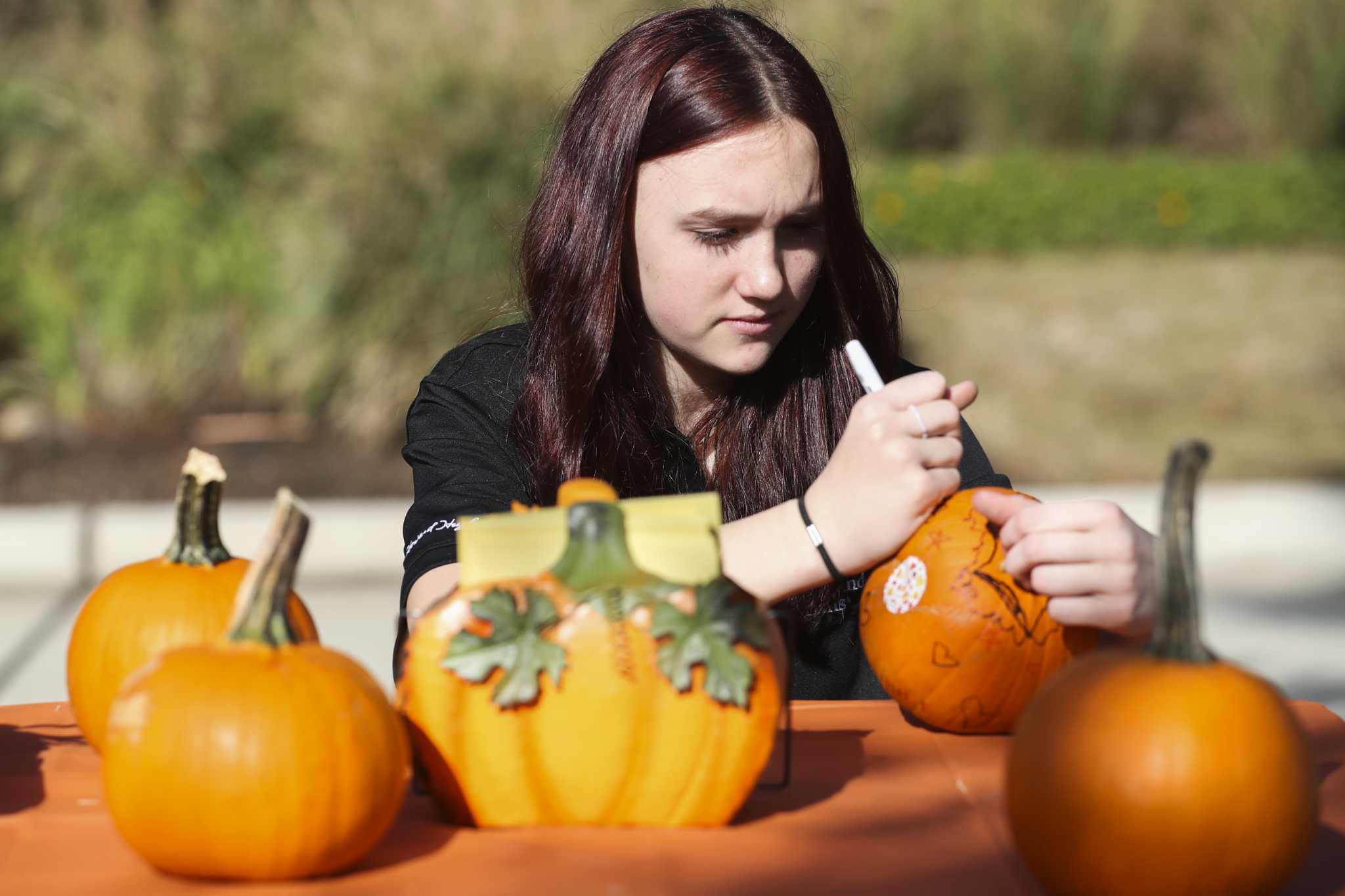 Woodlands Hills' celebrates season with fall festival