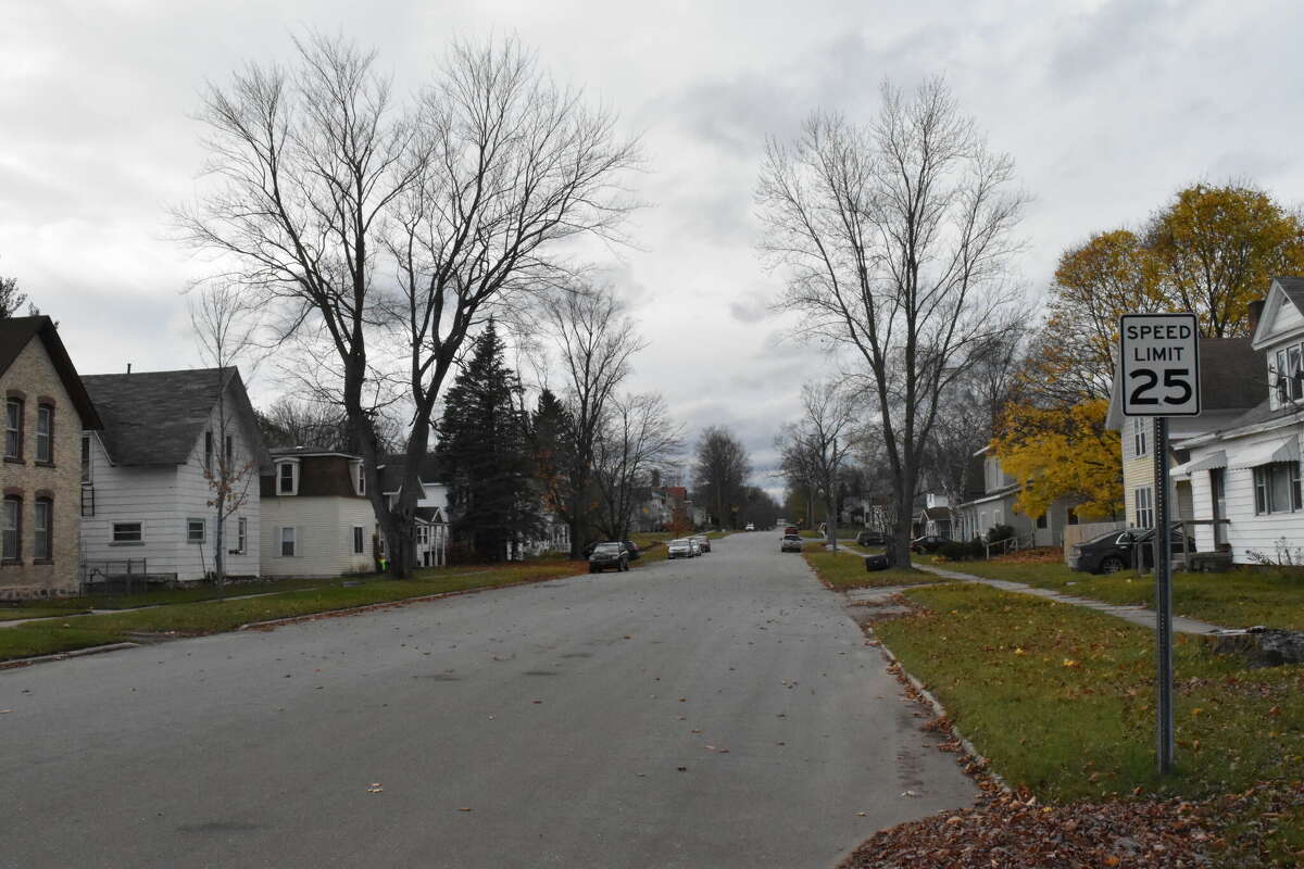 Franklin Avenue and the bank along the Hersey River in Reed City are among some of the area's expected to get tree from the grant.