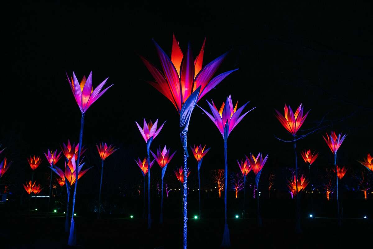 Enchanting light trail opens this week in San Antonio