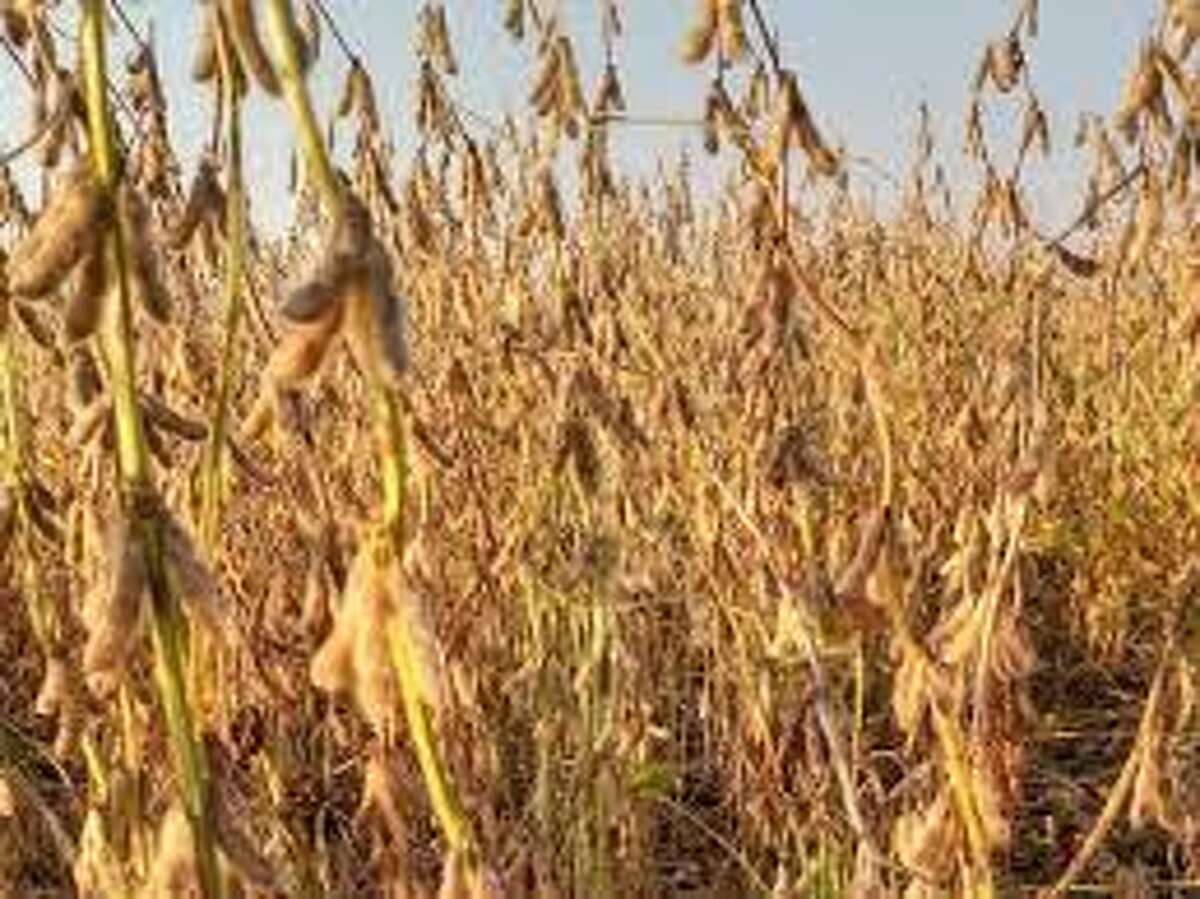 Illinois soybean harvest was 94 percent complete as of Sunday, according to the U.S. Department of Agriculture.