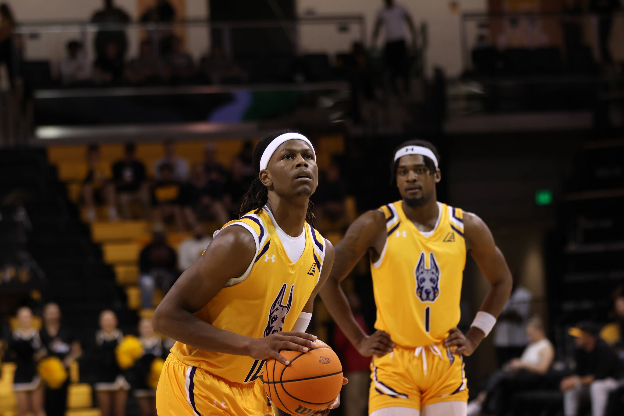 UAlbany men's basketball visits Division III Immaculata