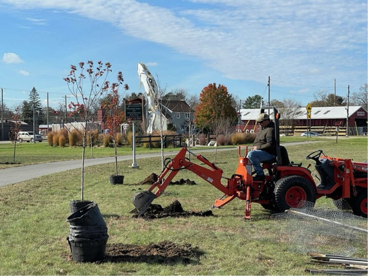 Members of the Baldwin Rotary are beautifying Baldwin with a variety of maple trees.