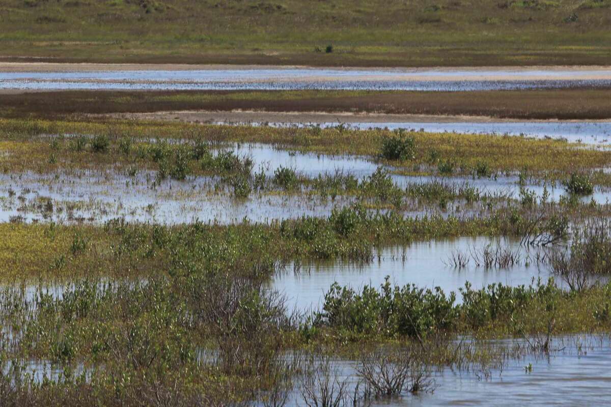 Parts of Gulf Coast will likely be under water once a year by 2050