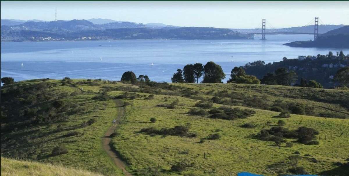Residents of Belvedere and Tiburon in Marin County overwhelmingly voted to tax themselves an additional $335 each year for the next three decades to prevent the development of a hillside property on the Tiburon Peninsula.