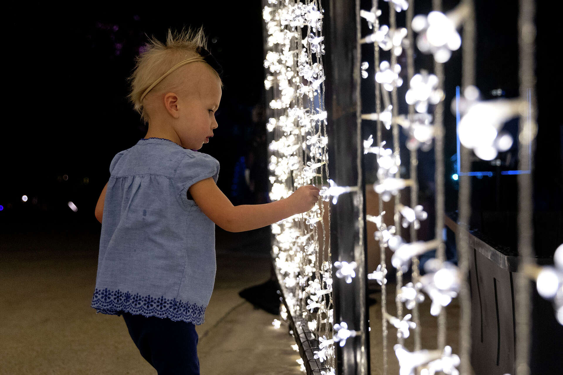 Sneak peek: 'Lightscape' returns to San Antonio Botanical Garden