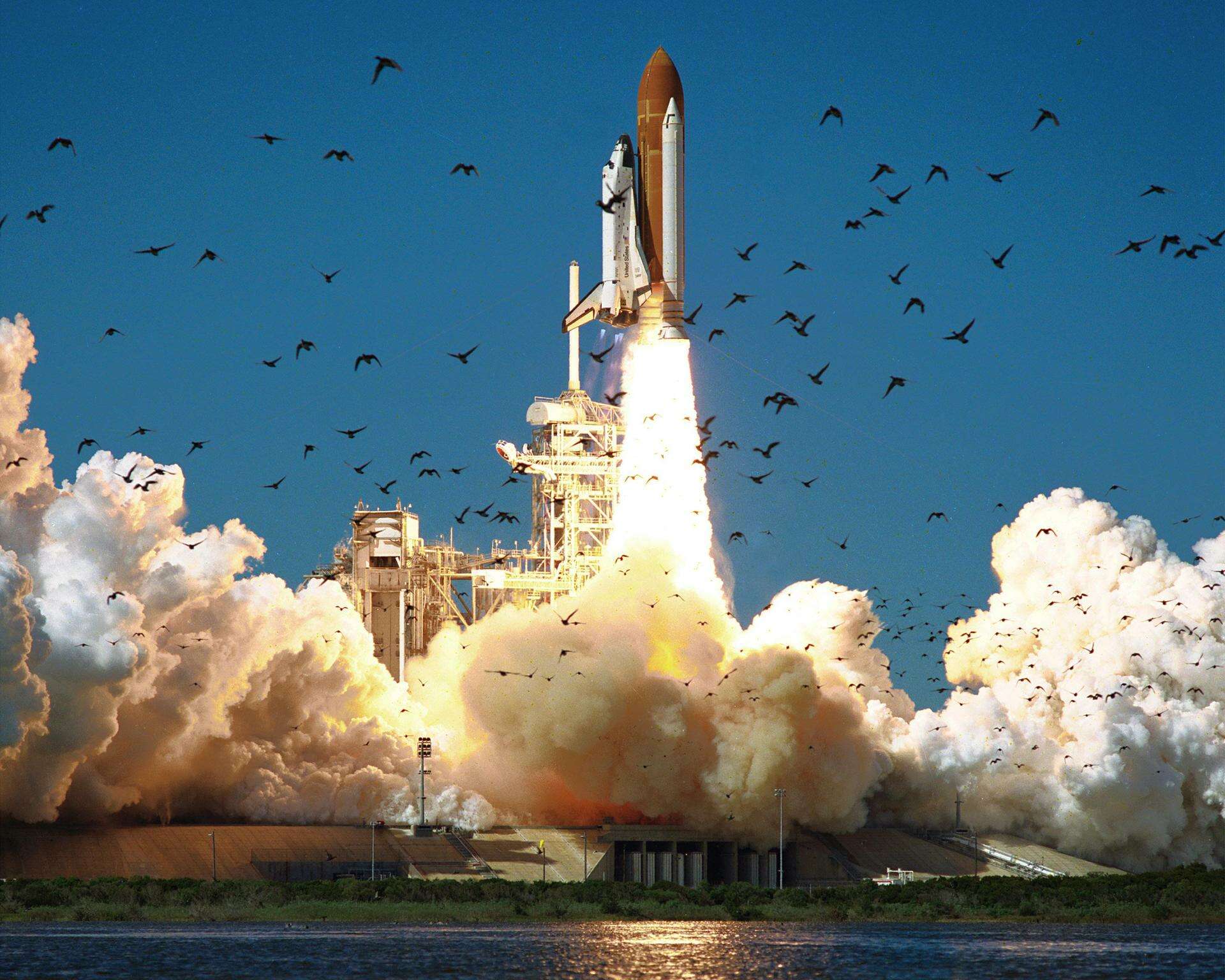 邦楽 Ska rockets/ska challenger 1920x0.jpg