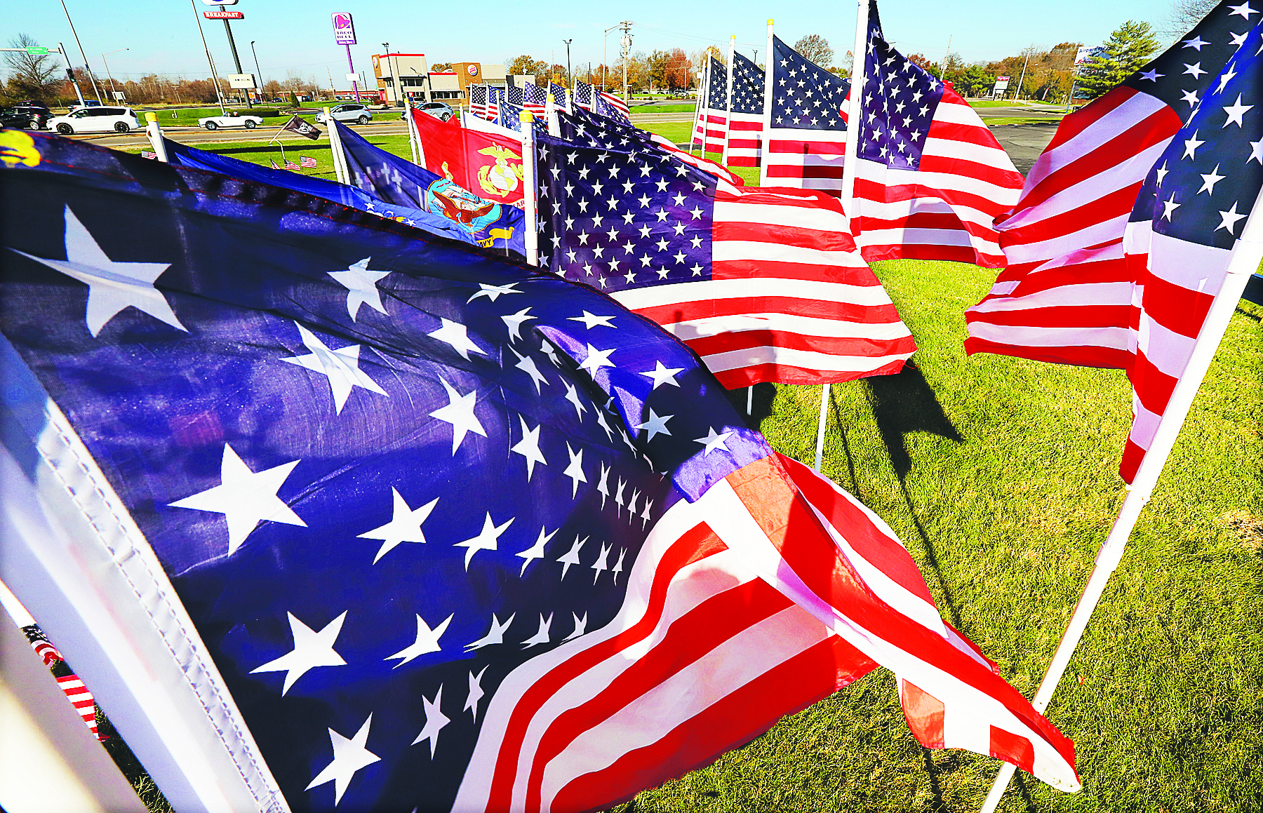 Flags honor Veterans Day