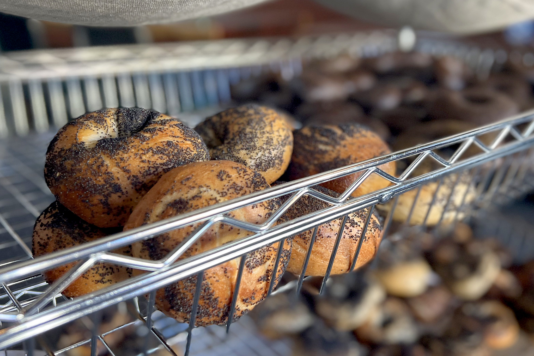 Popular bagel pop up finds a new home at the Laundromat in SF