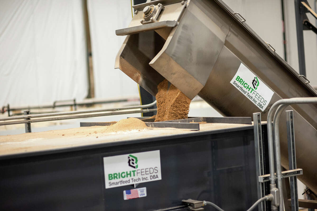 Pies, potato chips, fish' -- new CT plant converting all to feed Pies, potato chips, fish' -- new CT plant converting all to feed