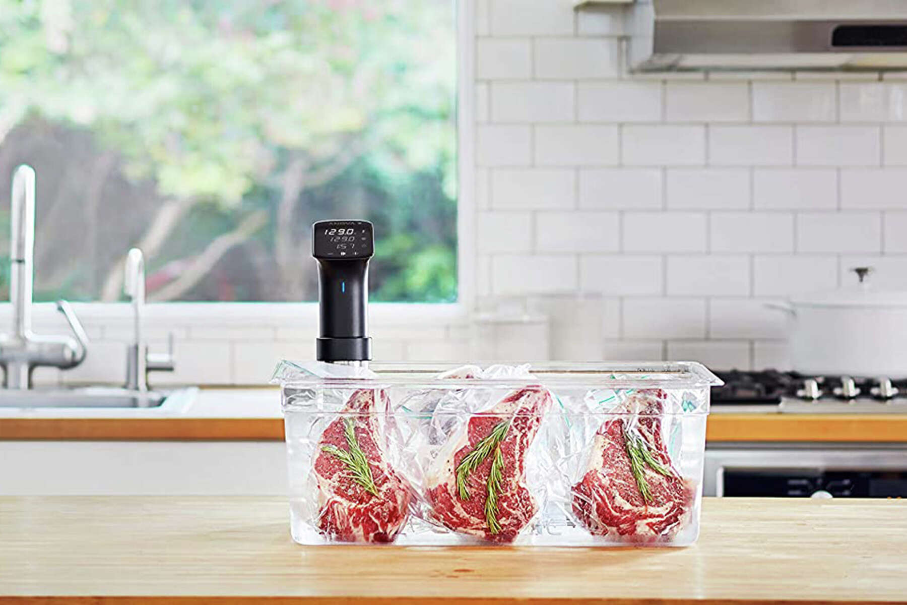 anova precision sous vide