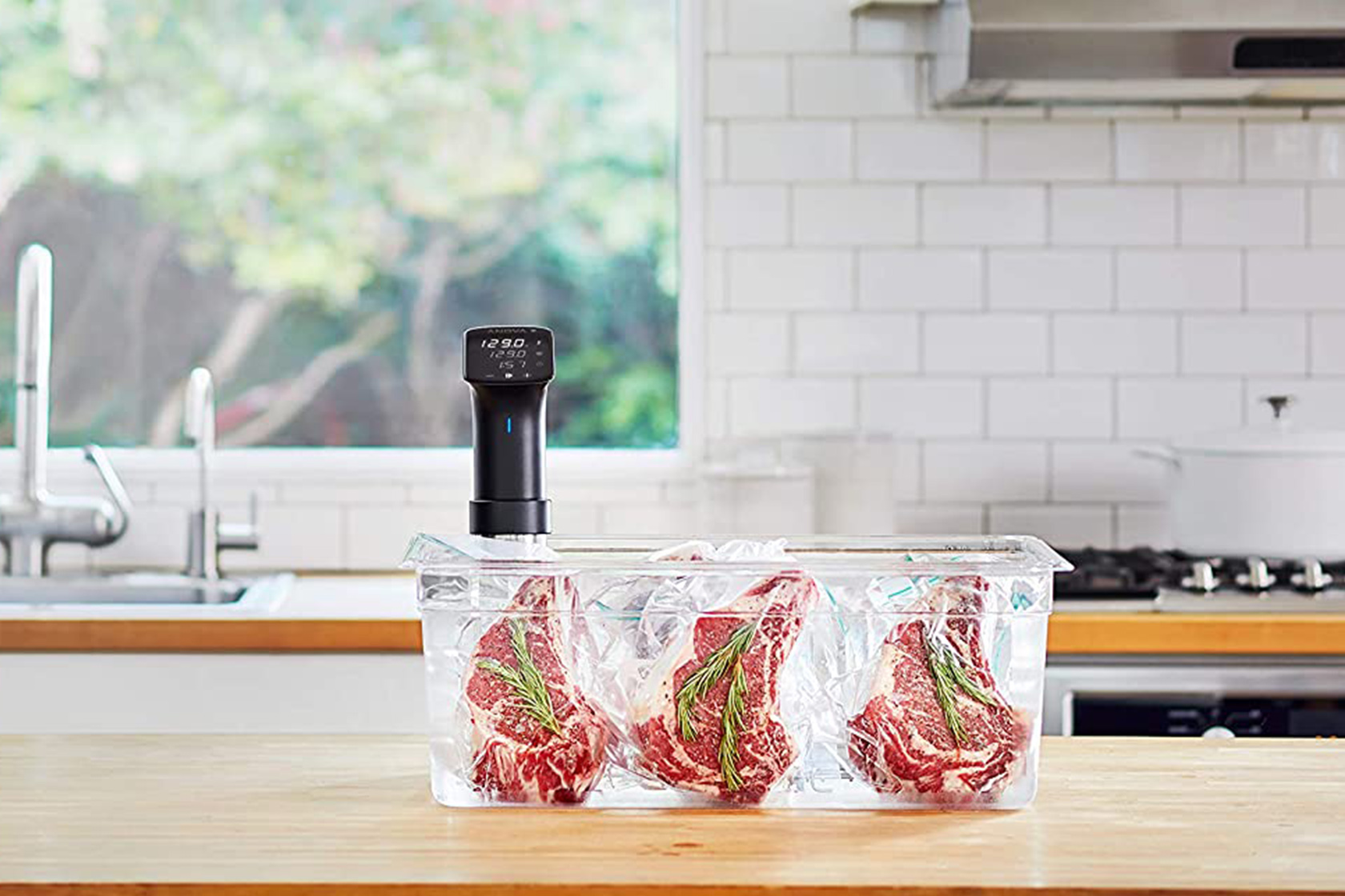 These Anova sous vide precision cookers already have Black Friday price  tags on