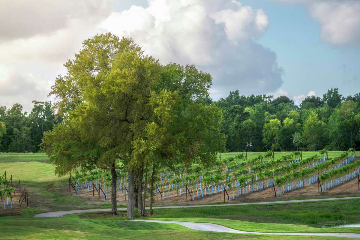 Caldwell Communities opens Chambers Creek '55 and up' community in Willis