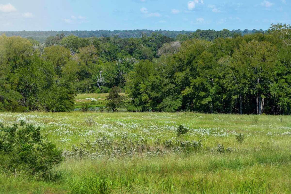 Caldwell Communities opens Chambers Creek '55 and up' community in Willis