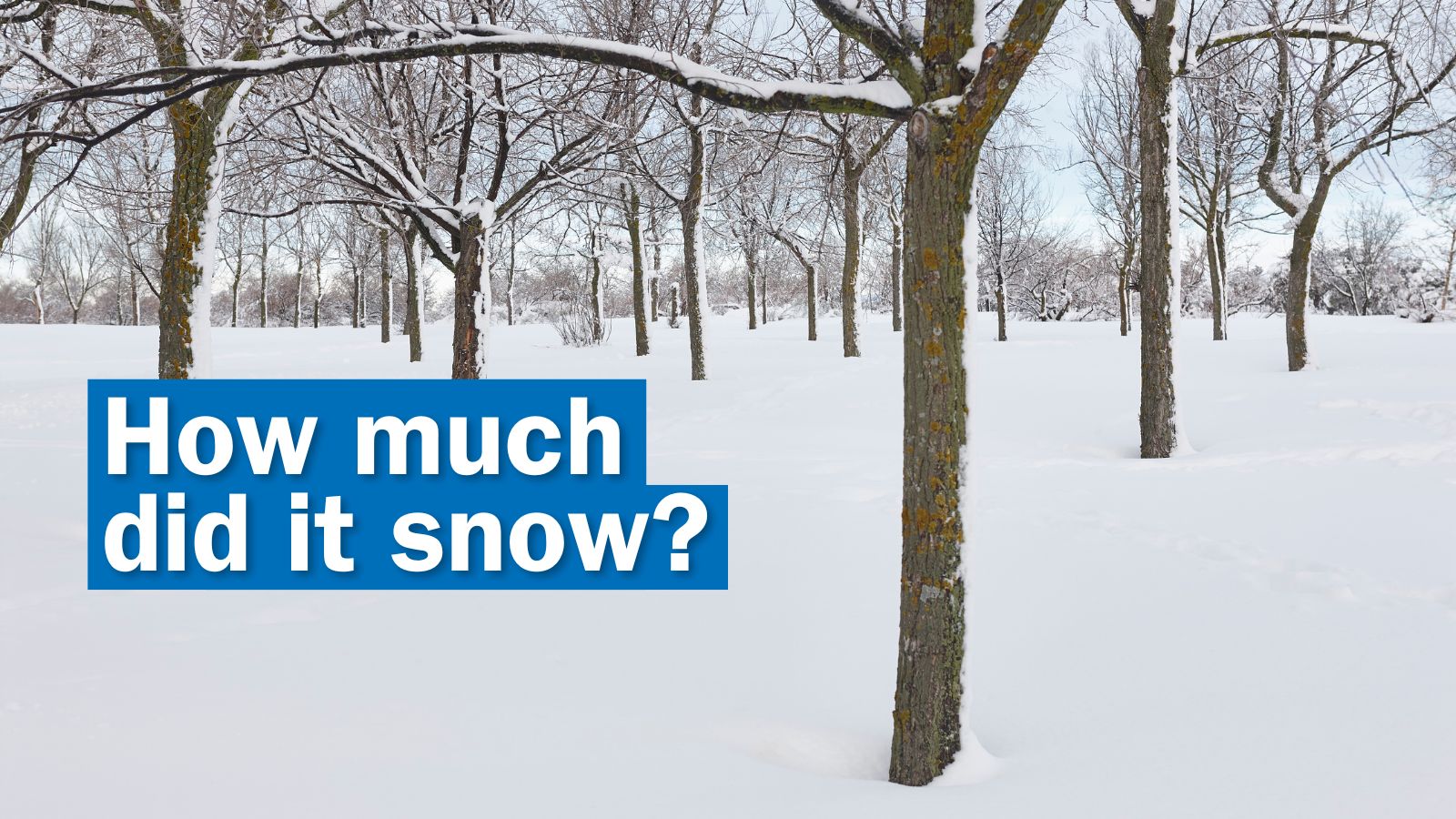 Here's how much snow we got in Albany, Schenectady, Troy, Saratoga and