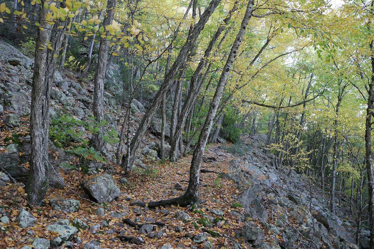 The trails leading to the top of Lantern Hill are difficult to find footing.