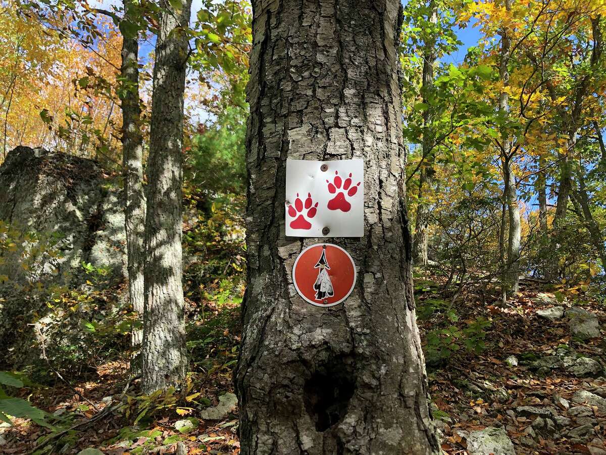 Colorful signs mark the Lantern Hill Trail.
