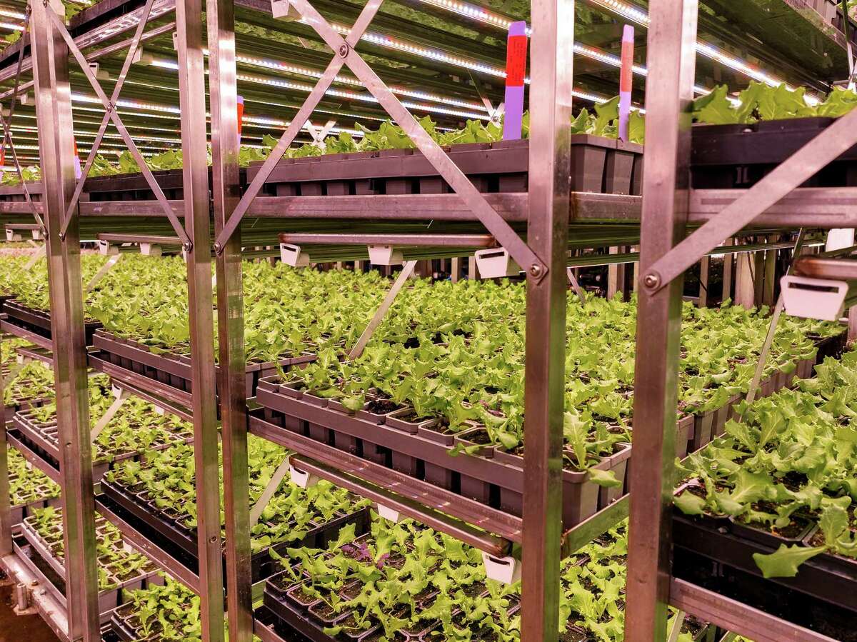 Soli Organic Inc. is building a soil-based indoor farm at Brooks.