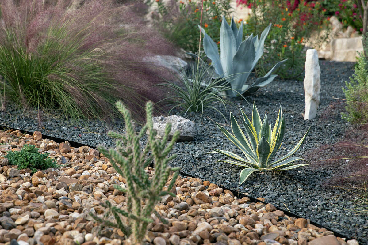 Stunning xeriscape: Canyon Lake home with drought-friendly yard