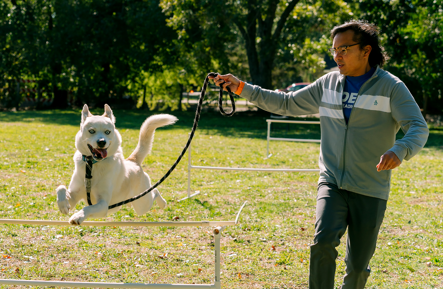 Sniffspot, the Airbnb of dog parks, grows in Houston