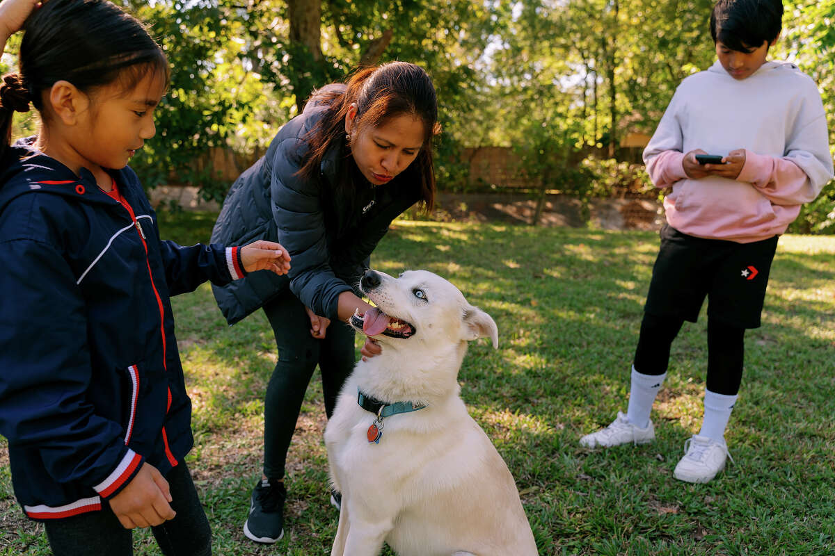 Tez Reventar's family adores Buttercup in their yard in Houston, Texas, on Nov. 13, 2022. The Reventars are among the Houston hosts who rent out their yard by the hour for dogs using an app called Sniffspot.