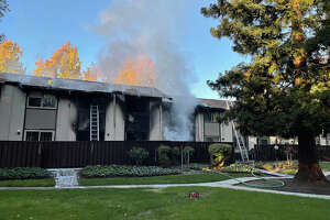 Mother, son and dog die in fire at Bay Area townhouse complex