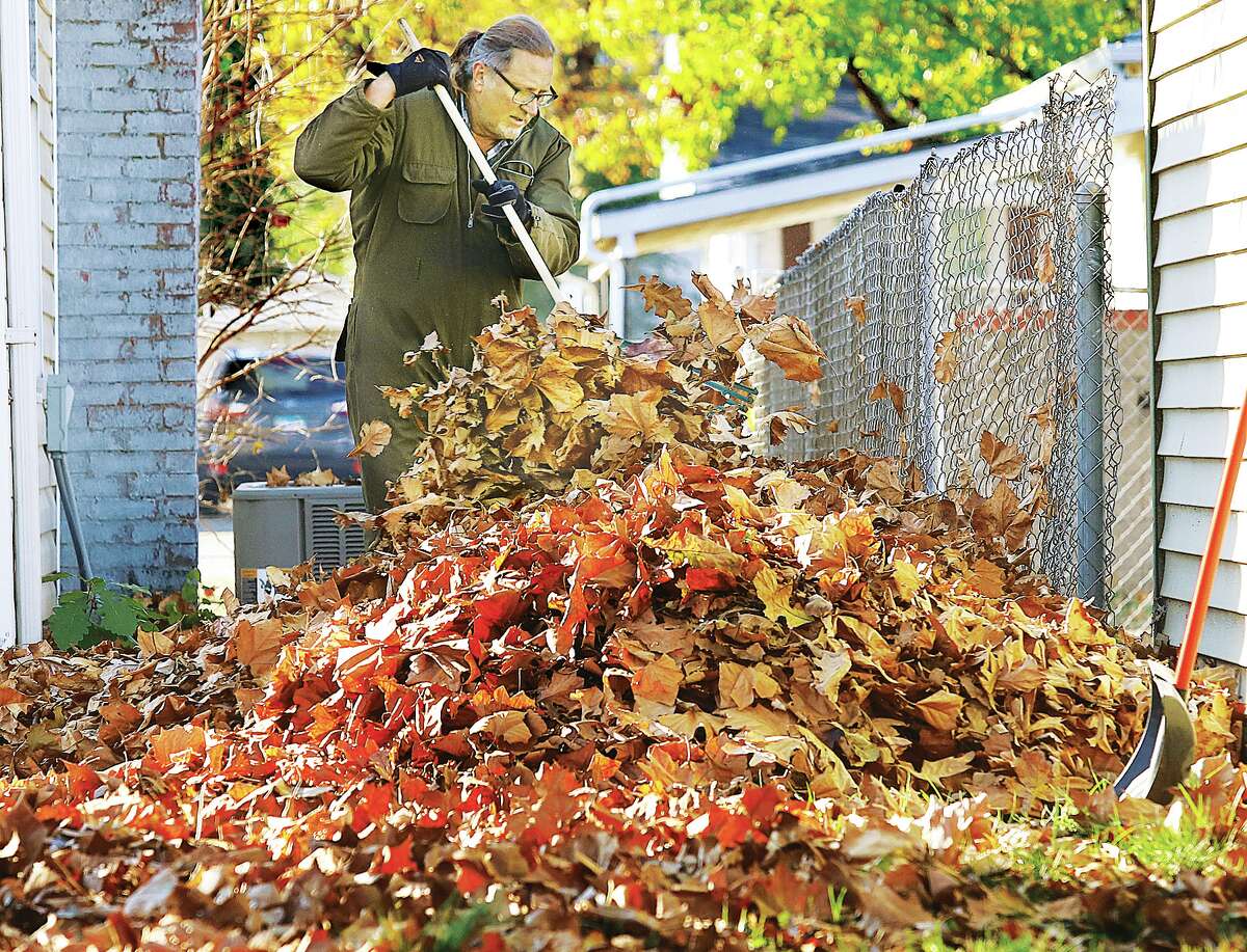 John Badman|The Telegraph It was a big job but somebody had to do it. John Johnson, and his sister, Sandy, took on the giant leaves in their yard in the 200 block of 13th Street in Wood River Monday afternoon. The siblings no doubt wanted to beat Tuesday mornings snowfall across the area which mostly amounted to just a dusting. Temperatures will remain cold the rest of the week.