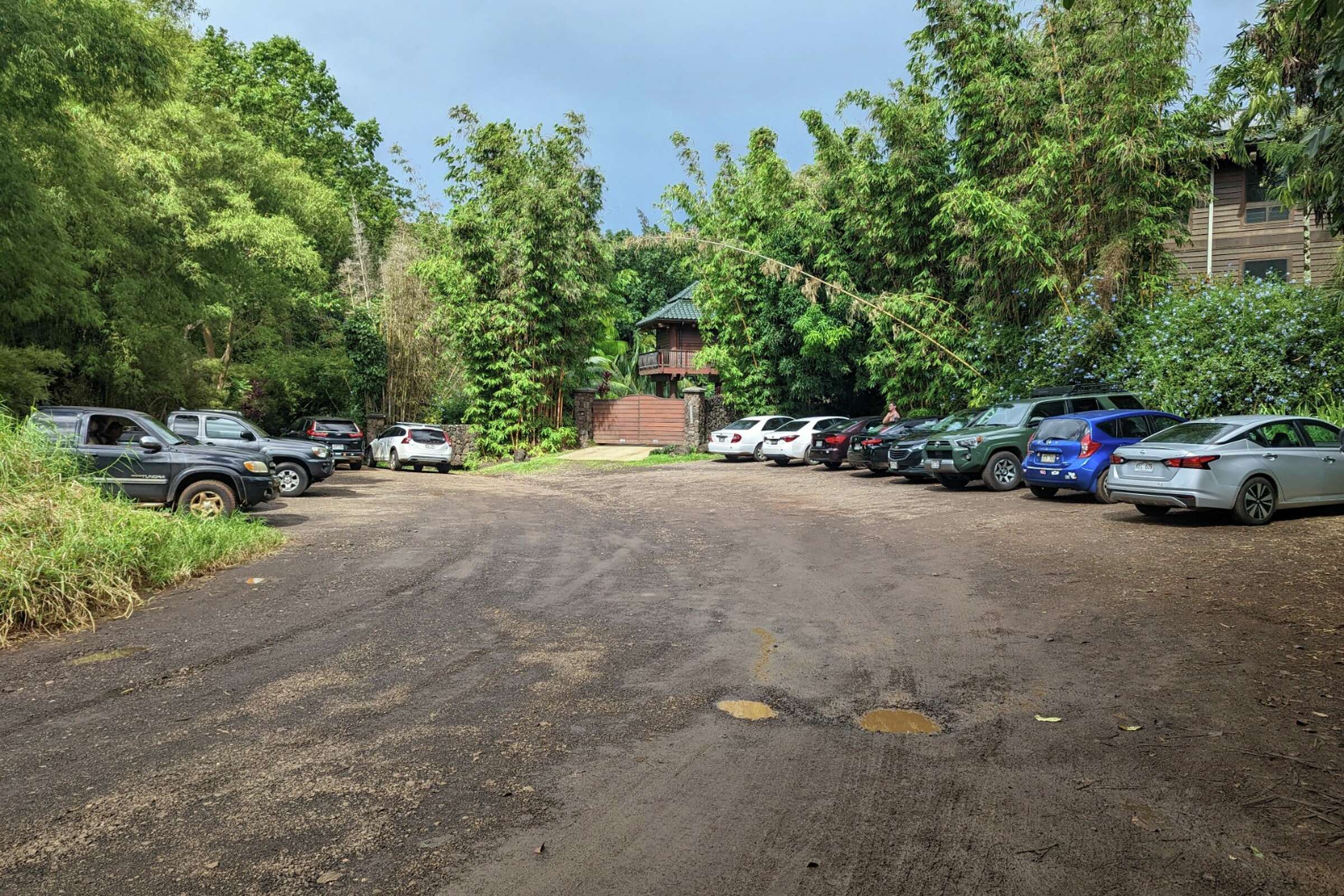 What to know about Kauai’s Kauapea Beach, Hawaii's 'secret' gem