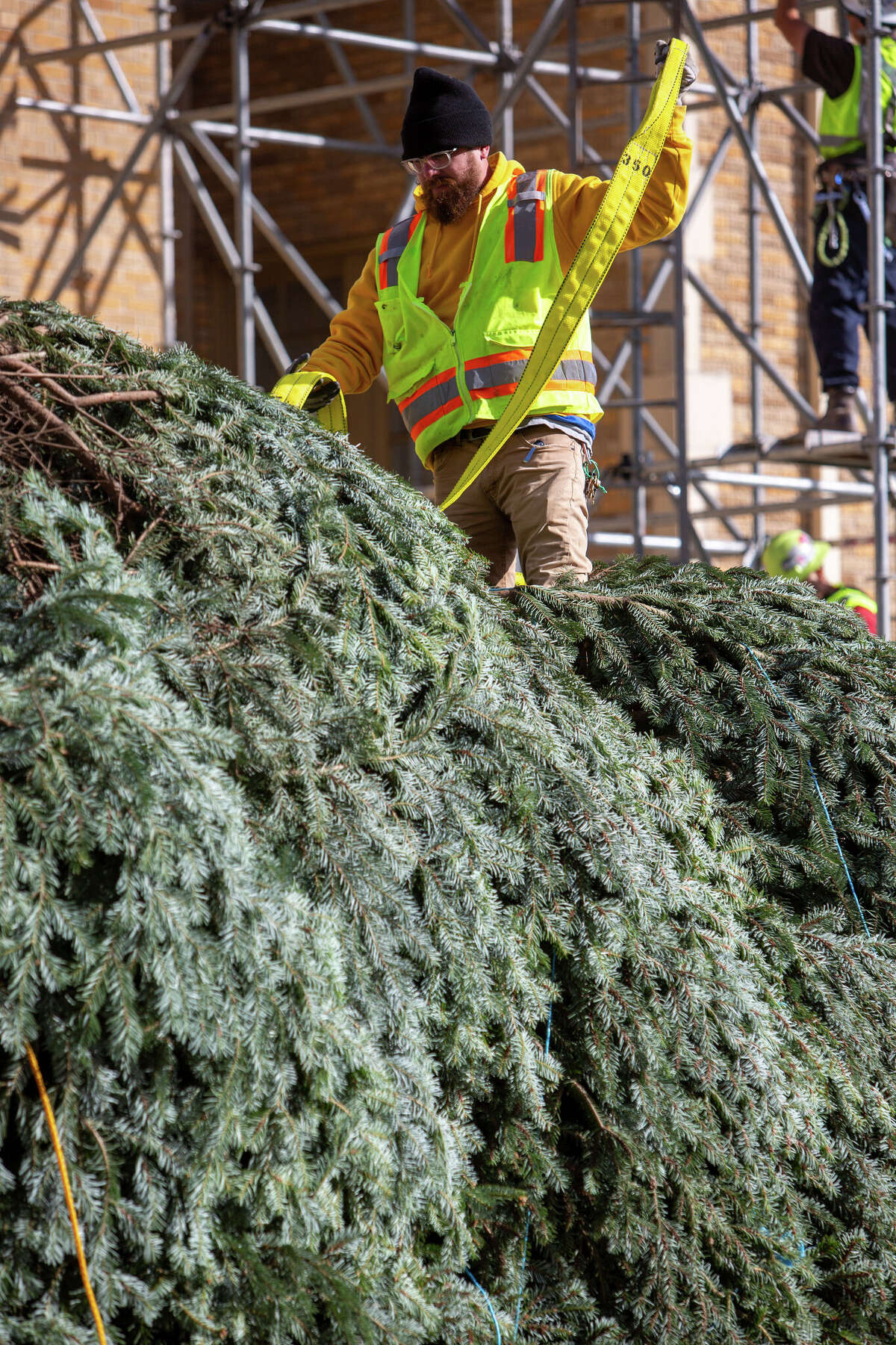 HEB Christmas tree at Travis Park snaps during installation