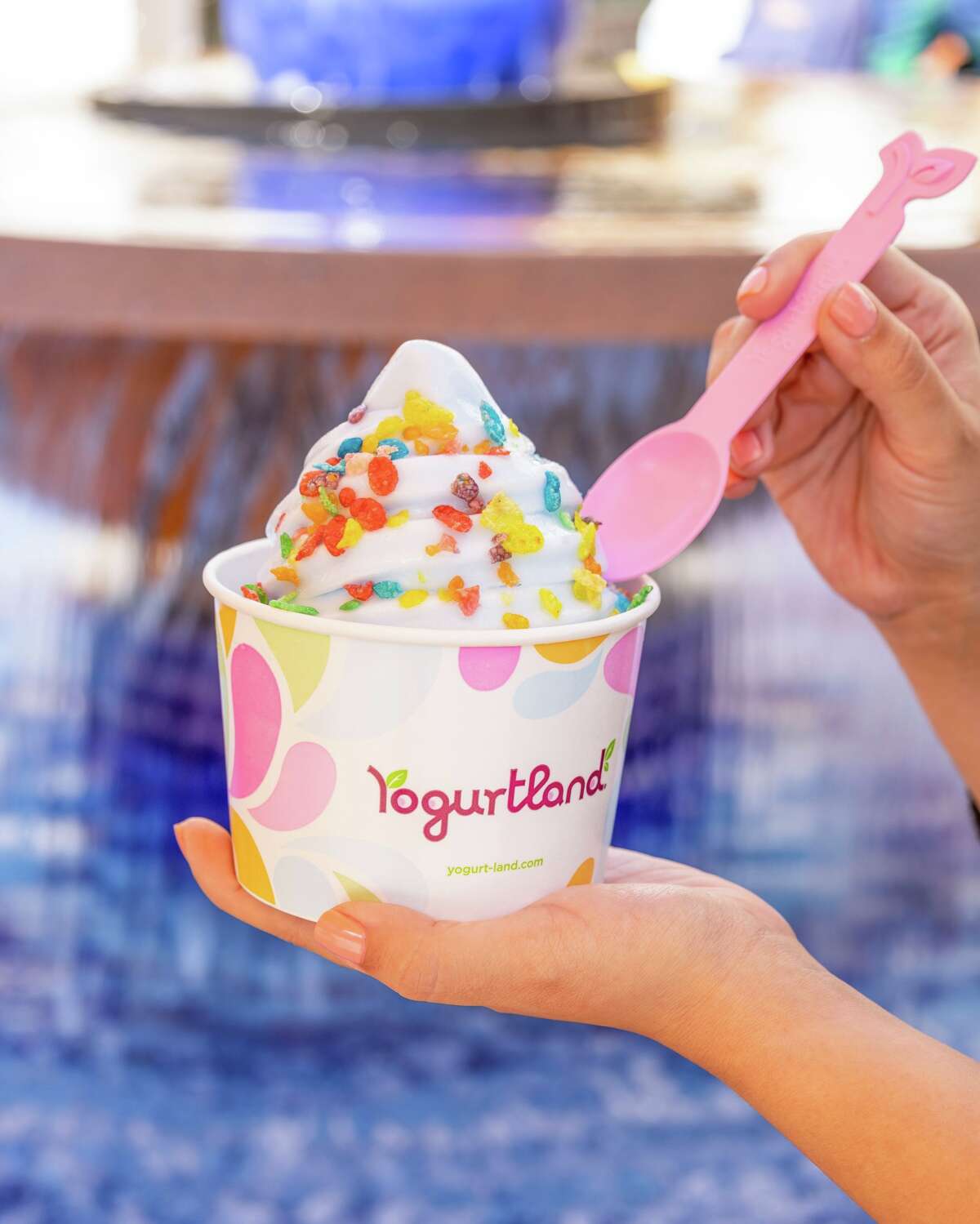 Yogurtland in Memorial City Mall in Houston offers 12 rotating scratch-made flavors of frozen yogurt in a self-serve format. There are also more than 40 toppings to choose from.